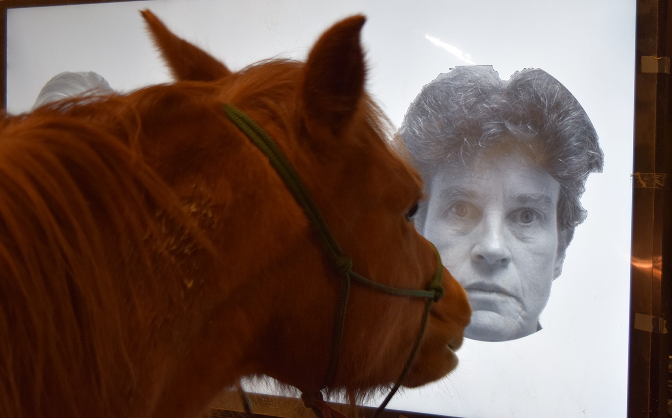 test reconnaissance faciale